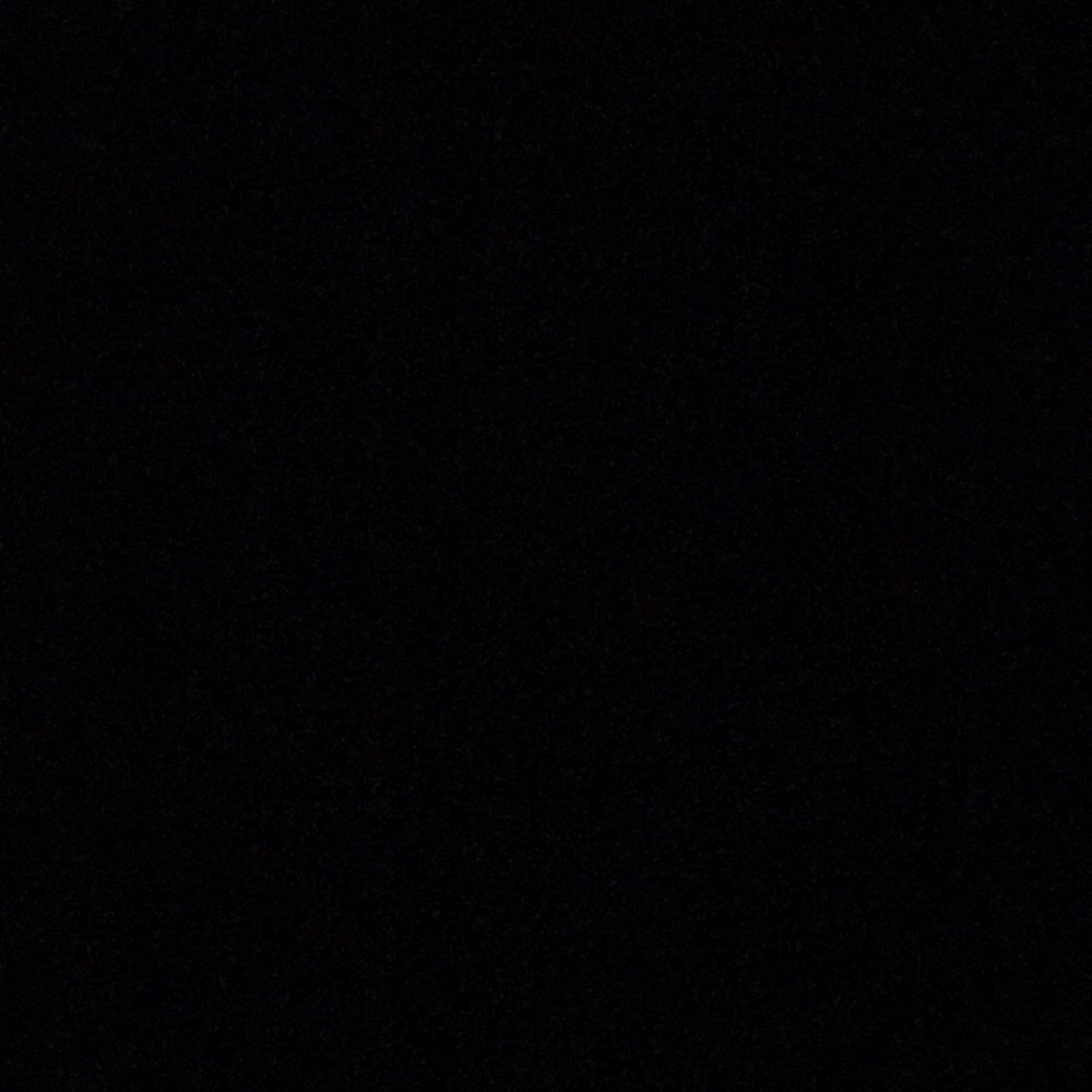 Meet your Posher, Abbie